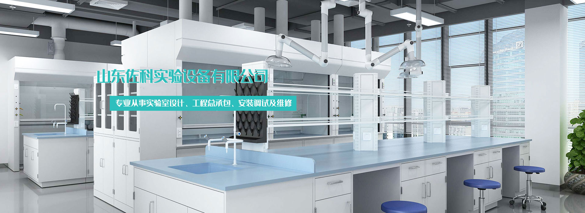 桐木生態板批發